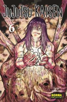 JUJUTSU KAISEN 6