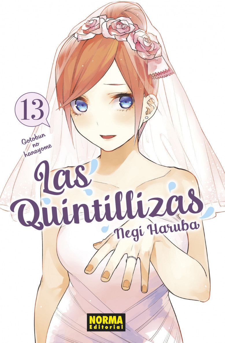 LAS QUINTILLIZAS 13